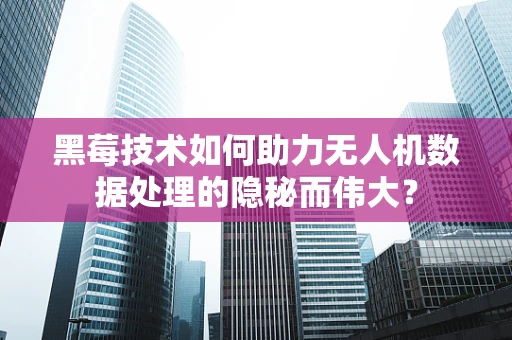 黑莓技术如何助力无人机数据处理的隐秘而伟大？