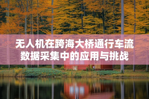 无人机在跨海大桥通行车流数据采集中的应用与挑战