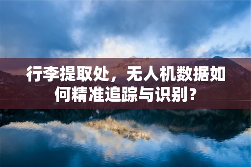 行李提取处，无人机数据如何精准追踪与识别？