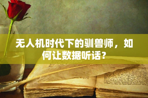 无人机时代下的驯兽师，如何让数据听话？