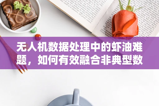 无人机数据处理中的虾油难题，如何有效融合非典型数据源？