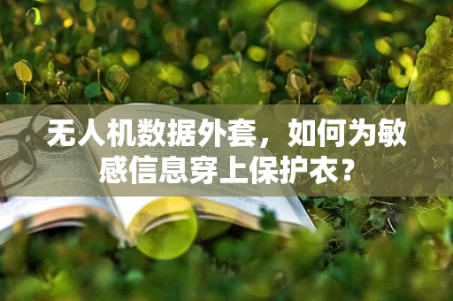 无人机数据外套，如何为敏感信息穿上保护衣？