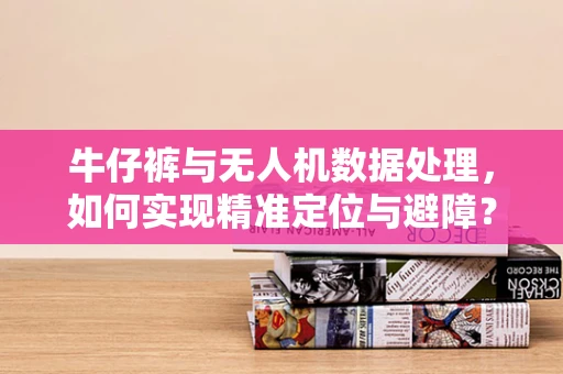牛仔裤与无人机数据处理，如何实现精准定位与避障？