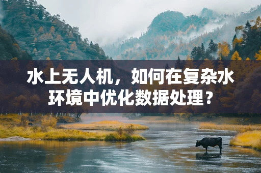 水上无人机，如何在复杂水环境中优化数据处理？