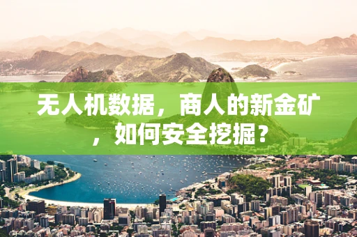 无人机数据，商人的新金矿，如何安全挖掘？