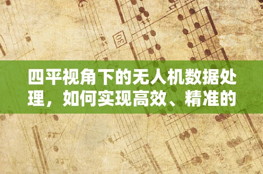 四平视角下的无人机数据处理，如何实现高效、精准的地理信息采集？
