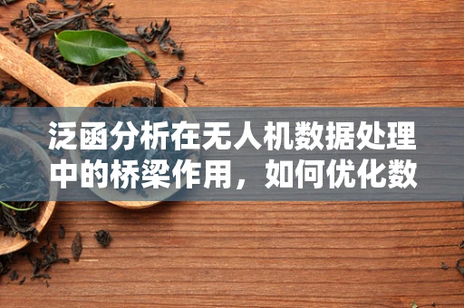 泛函分析在无人机数据处理中的桥梁作用，如何优化数据映射与处理？