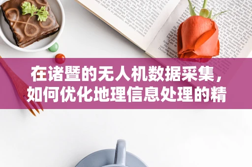 在诸暨的无人机数据采集，如何优化地理信息处理的精度与效率？