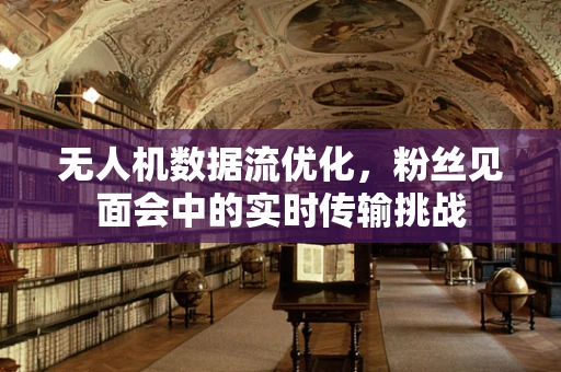 无人机数据流优化，粉丝见面会中的实时传输挑战