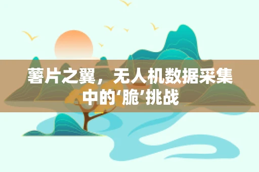 薯片之翼，无人机数据采集中的‘脆’挑战