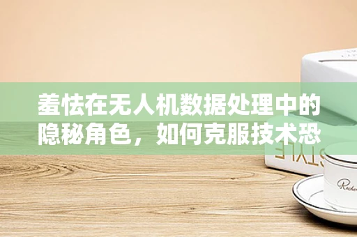羞怯在无人机数据处理中的隐秘角色，如何克服技术恐惧，提升数据质量？