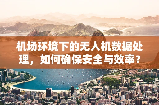 机场环境下的无人机数据处理，如何确保安全与效率？