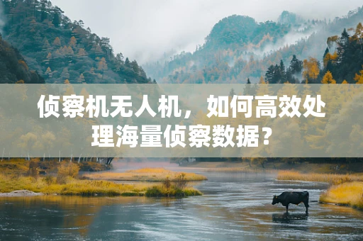 侦察机无人机，如何高效处理海量侦察数据？