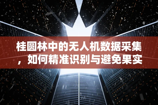 桂圆林中的无人机数据采集，如何精准识别与避免果实碰撞？