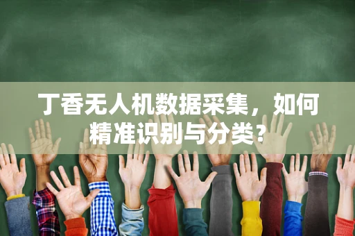 丁香无人机数据采集，如何精准识别与分类？