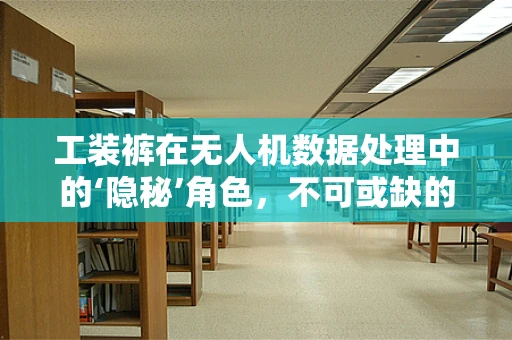 工装裤在无人机数据处理中的‘隐秘’角色，不可或缺的‘幕后英雄’吗？