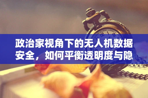 政治家视角下的无人机数据安全，如何平衡透明度与隐私保护？