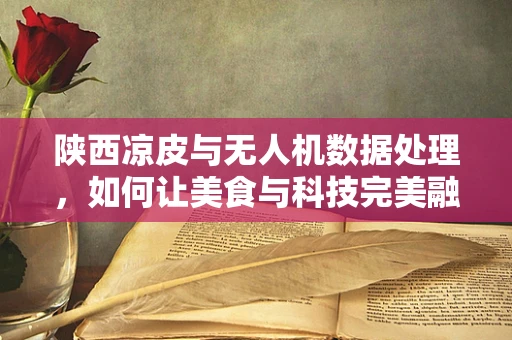 陕西凉皮与无人机数据处理，如何让美食与科技完美融合？