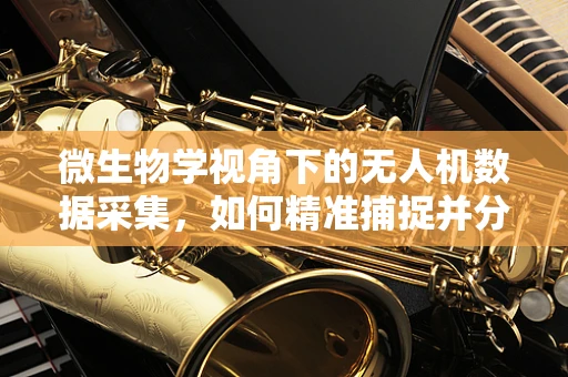 微生物学视角下的无人机数据采集，如何精准捕捉并分析空中微生物？