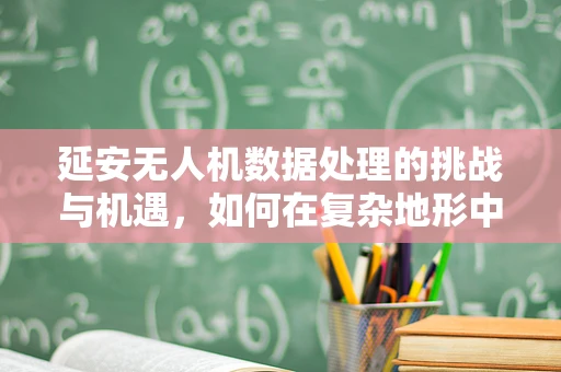 延安无人机数据处理的挑战与机遇，如何在复杂地形中优化飞行路径？