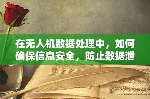在无人机数据处理中，如何确保信息安全，防止数据泄露？