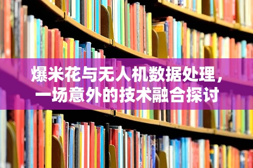 爆米花与无人机数据处理，一场意外的技术融合探讨