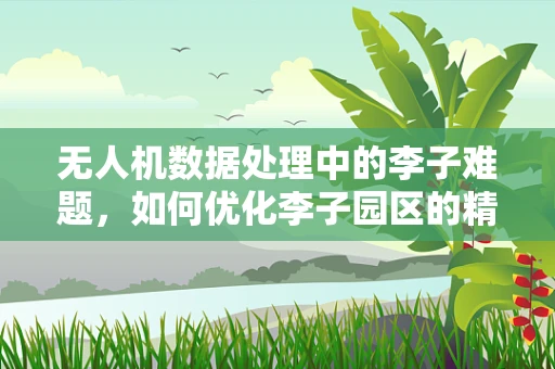 无人机数据处理中的李子难题，如何优化李子园区的精准监测？