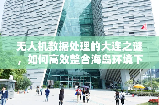 无人机数据处理的大连之谜，如何高效整合海岛环境下的多源数据？