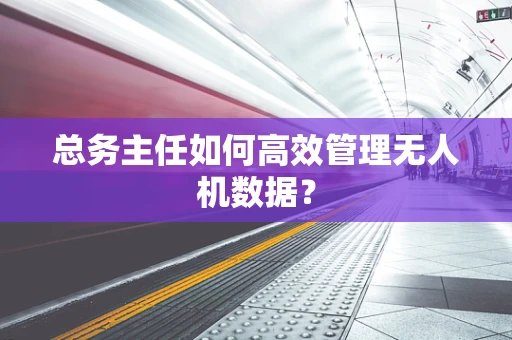 总务主任如何高效管理无人机数据？