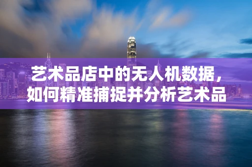 艺术品店中的无人机数据，如何精准捕捉并分析艺术品的‘空中视角’？
