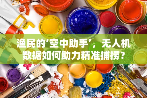 渔民的‘空中助手’，无人机数据如何助力精准捕捞？