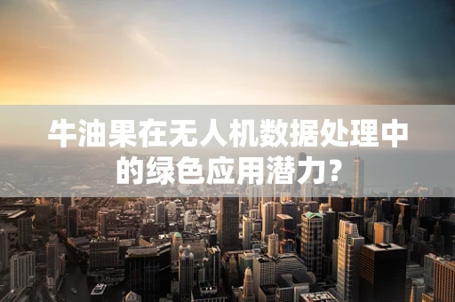 牛油果在无人机数据处理中的绿色应用潜力？