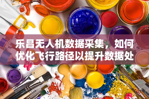乐昌无人机数据采集，如何优化飞行路径以提升数据处理效率？