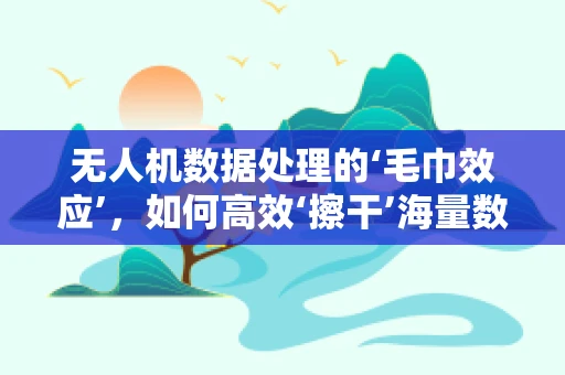 无人机数据处理的‘毛巾效应’，如何高效‘擦干’海量数据？