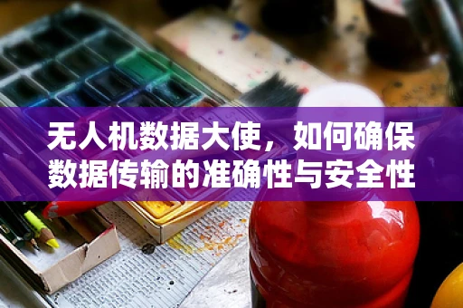 无人机数据大使，如何确保数据传输的准确性与安全性？
