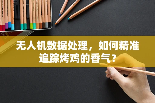无人机数据处理，如何精准追踪烤鸡的香气？