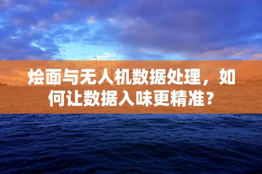 烩面与无人机数据处理，如何让数据入味更精准？