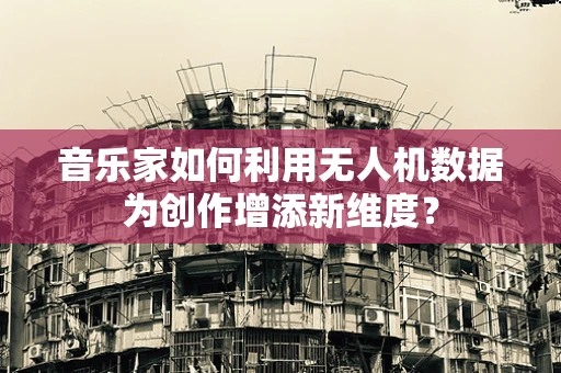 音乐家如何利用无人机数据为创作增添新维度？