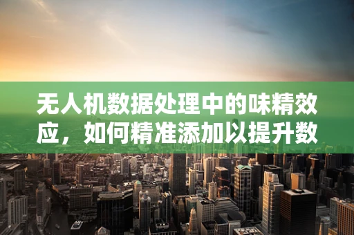 无人机数据处理中的味精效应，如何精准添加以提升数据价值？