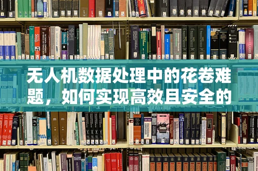 无人机数据处理中的花卷难题，如何实现高效且安全的随机性？