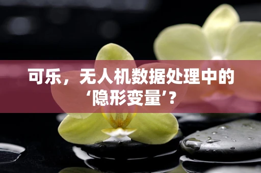 可乐，无人机数据处理中的‘隐形变量’？