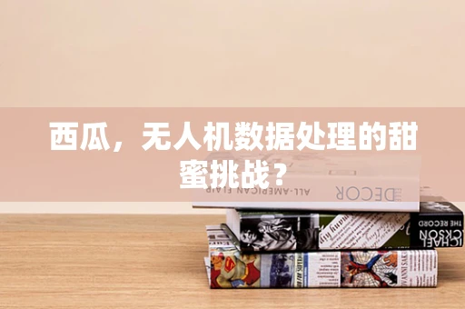 西瓜，无人机数据处理的甜蜜挑战？
