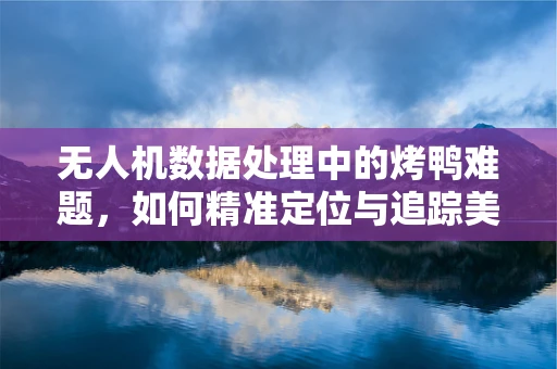 无人机数据处理中的烤鸭难题，如何精准定位与追踪美食香气？