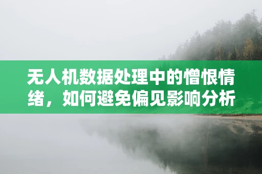 无人机数据处理中的憎恨情绪，如何避免偏见影响分析精度？