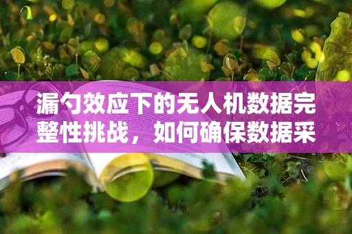 漏勺效应下的无人机数据完整性挑战，如何确保数据采集的精准无遗？