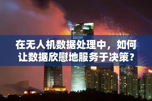 在无人机数据处理中，如何让数据欣慰地服务于决策？