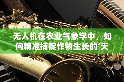 无人机在农业气象学中，如何精准捕捉作物生长的‘天气密码’？