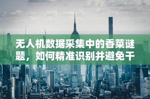 无人机数据采集中的香菜谜题，如何精准识别并避免干扰？