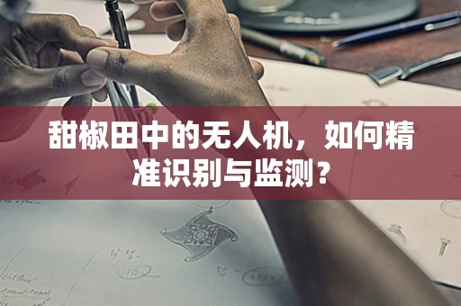 甜椒田中的无人机，如何精准识别与监测？