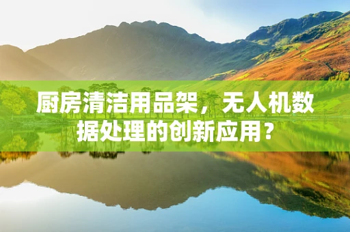 厨房清洁用品架，无人机数据处理的创新应用？